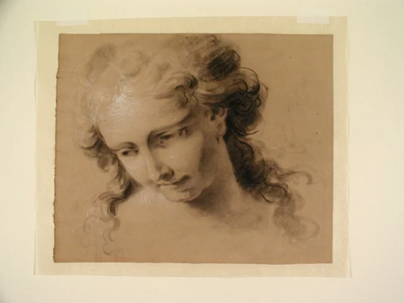 Studio, testa di angelo - Bologna